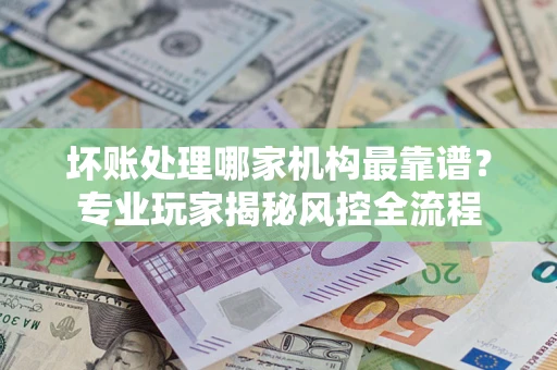 武汉坏账处理哪家机构最靠谱？专业玩家揭秘风控全流程