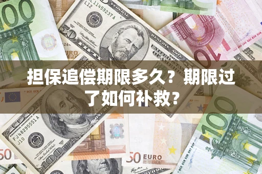 武汉担保追偿期限多久？期限过了如何补救？