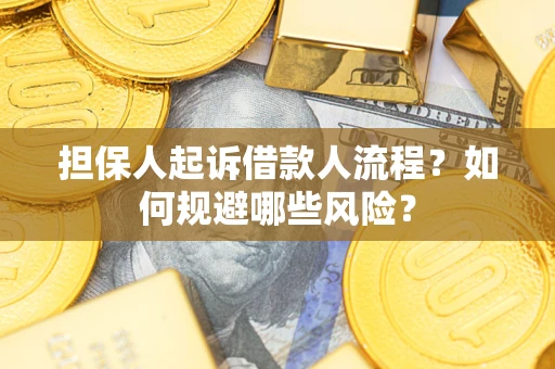 武汉担保人起诉借款人流程？如何规避哪些风险？