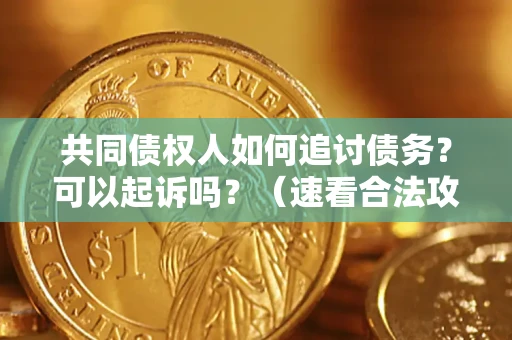 武汉共同债权人如何追讨债务？可以起诉吗？（速看合法攻略）