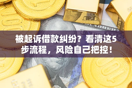 武汉被起诉借款纠纷？看清这5步流程，风险自己把控！